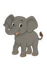 Elefante