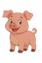 Porco