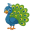 Pavão