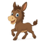 Burro