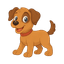 Cachorro