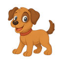 Cachorro Cachorro